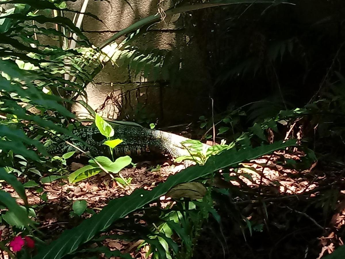Casa Alquiler En Bombas Bombinhas Villa Bagian luar foto